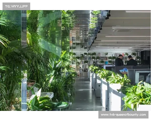 推动体育场馆绿色建筑认证全面落实节能环保标准建设绿色低碳示范工程